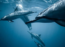 kaiyun-陈涛：青训没有什么捷径可走 稳定的环境很重要